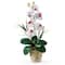 21" Moth Orchid Flower Arrangement in Ceramic Pot